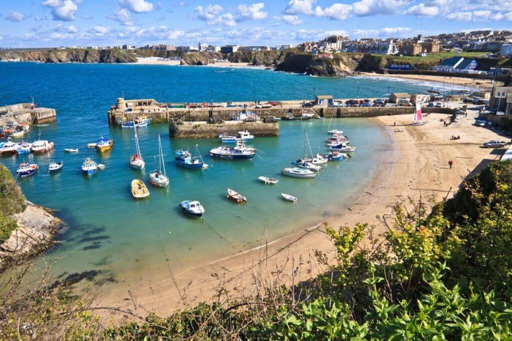 Large 5 Bed 3 Bath House 300 Meters From Beach And Restaurants New Quay Exteriér fotografie
