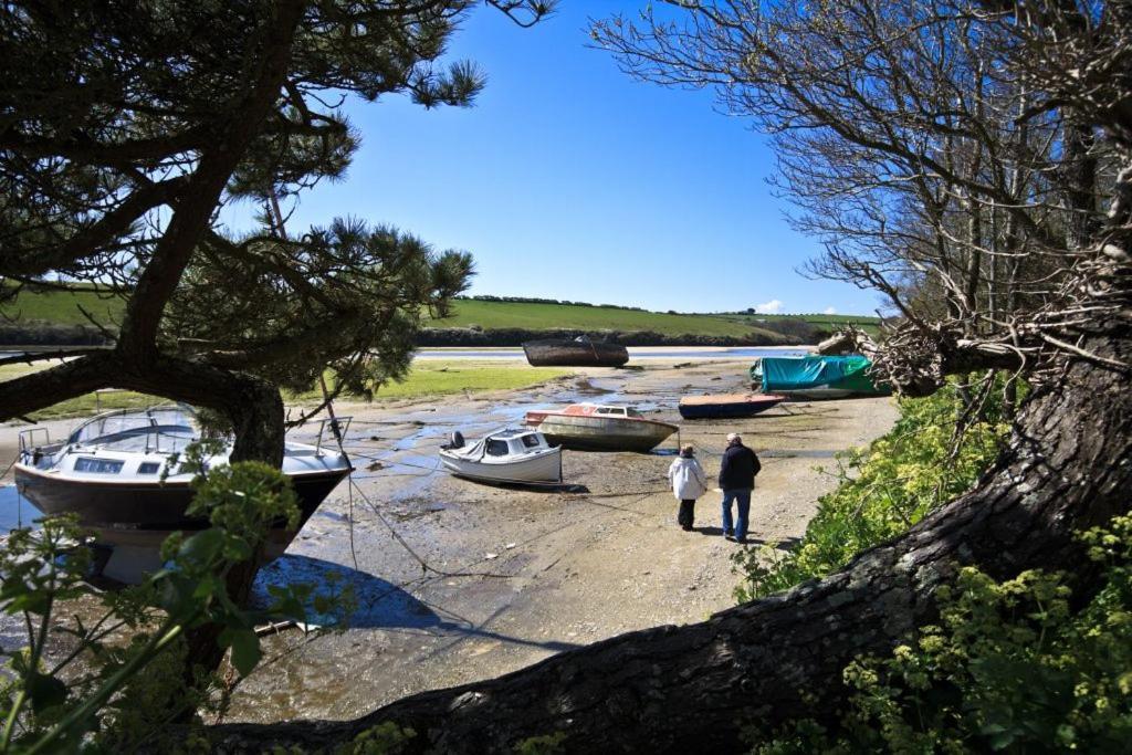 Large 5 Bed 3 Bath House 300 Meters From Beach And Restaurants New Quay Exteriér fotografie